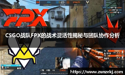 CSGO战队FPX的战术灵活性揭秘与团队协作分析