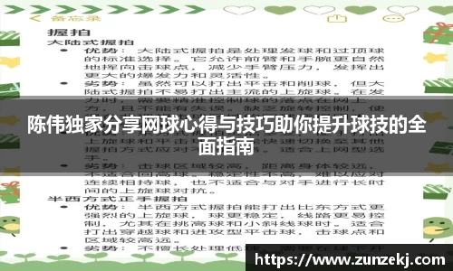 陈伟独家分享网球心得与技巧助你提升球技的全面指南