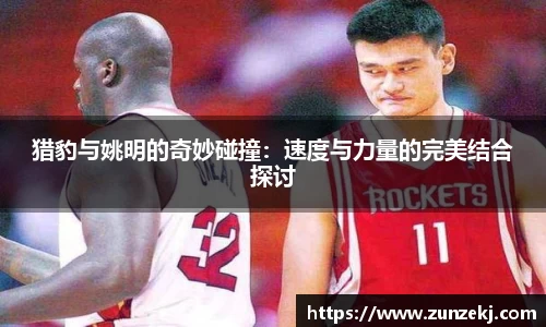 猎豹与姚明的奇妙碰撞：速度与力量的完美结合探讨