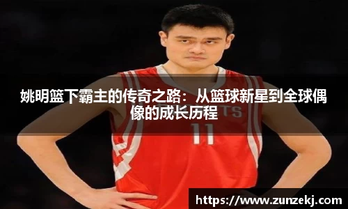姚明篮下霸主的传奇之路：从篮球新星到全球偶像的成长历程