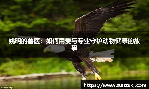 betway必威西汉姆联官网