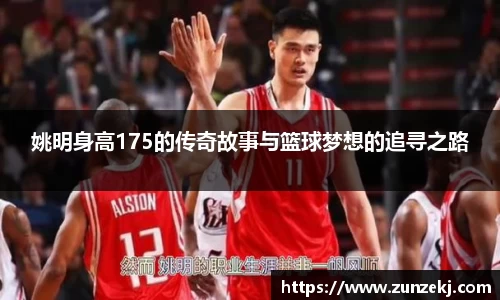 姚明身高175的传奇故事与篮球梦想的追寻之路
